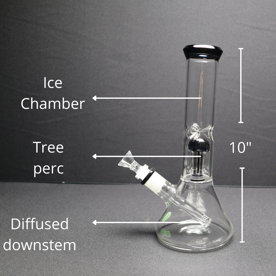 142 21RKQG 10" tree perc beaker